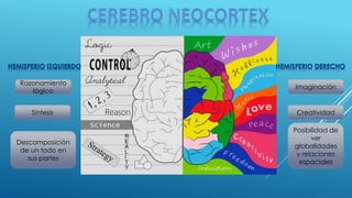 Descomposición de un todo en sus partes 
Síntesis 
Razonamiento lógico 
Posibilidad de ver globalidades y relaciones espaciales 
Creatividad 
Imaginación  