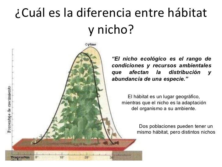 Resultado de imagen para nichos ecologicos