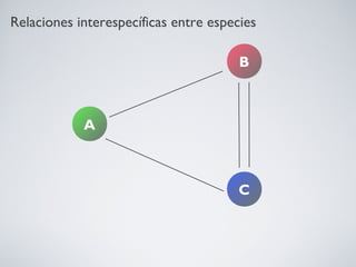Relaciones interespecíficas entre especies

                                       B



            A



                                       C
 
