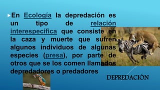 DEPREDACIÓN
En Ecología la depredación es
un tipo de relación
interespecífica que consiste en
la caza y muerte que sufren
algunos individuos de algunas
especies (presa), por parte de
otros que se los comen llamados
depredadores o predadores
 