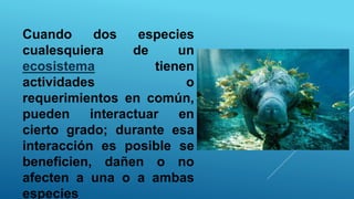Cuando dos especies
cualesquiera de un
ecosistema tienen
actividades o
requerimientos en común,
pueden interactuar en
cierto grado; durante esa
interacción es posible se
beneficien, dañen o no
afecten a una o a ambas
especies
 