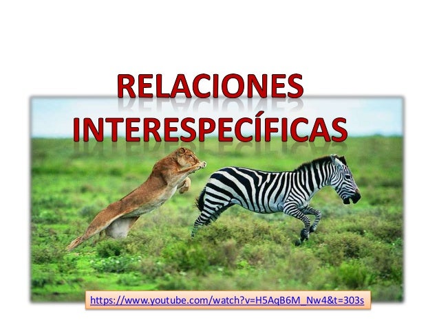 Relaciones interespecíficas
