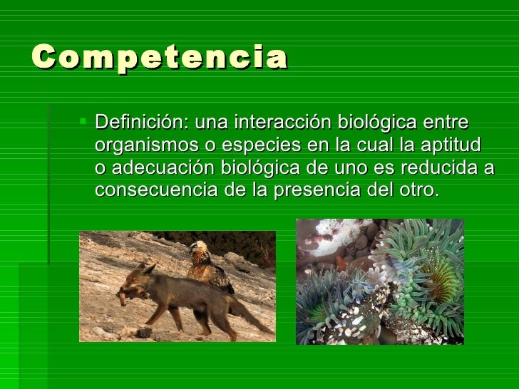 Relaciones interespecíficas gabriel peña Relaciones interespecíficas gabriel peña