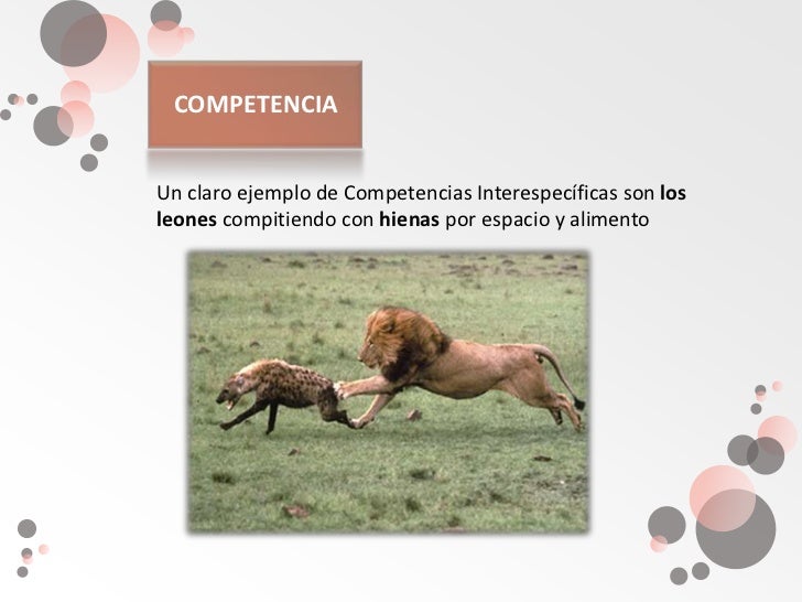 Relaciones interespecificas