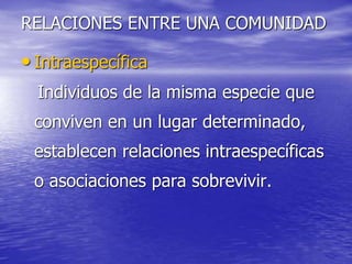 RELACIONES ENTRE UNA COMUNIDAD
• Intraespecífica
Individuos de la misma especie que
conviven en un lugar determinado,
establecen relaciones intraespecíficas
o asociaciones para sobrevivir.
 