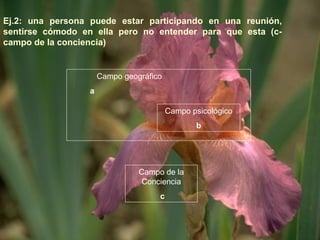 Ej.2: una persona puede estar participando en una reunión,
sentirse cómodo en ella pero no entender para que esta (c-
campo de la conciencia)
Campo geográfico
a
Campo psicológico
b
Campo de la
Conciencia
c
 