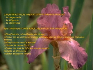 CARACTERÍSTICAS ORGANIZATIVO PROFESIONALES
 la competencia
 la diligencia
 la objetividad
 
RECOMENDACIONES PARA ORGANIZACIÓN PERSONAL
 
o Planificación y distribución del tiempo
o Contar con un sistema de trabajo definido, plan de temas a tratar en reuniones
técnicas
o Planificación anual y mensual
o Listado de tareas diarias
o Contar con toda la información que requiere
incluido un Directorio
o Evitar delegación inversa
 