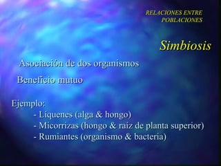 Asociación de dos organismos Beneficio mutuo Simbiosis RELACIONES ENTRE POBLACIONES Ejemplo:  - Líquenes (alga & hongo) - Micorrizas (hongo & raíz de planta superior) - Rumiantes (organismo & bacteria) 