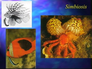 Simbiosis 