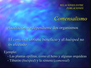 Asociación no dependiente dos organismos El  comensal  obtiene beneficio y el  huésped  no es afectado Comensalismo RELACIONES ENTRE POBLACIONES Ejemplo:  - Las plantas epífitas, como el heno y algunas orquídeas - Tiburón ( huésped ) y la rémora ( comensal ) 