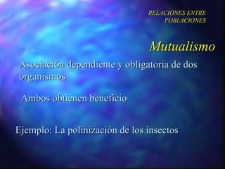 Asociación dependiente y obligatoria de dos organismos Ambos obtienen beneficio Mutualismo RELACIONES ENTRE POBLACIONES Ejemplo: La polinización de los insectos 