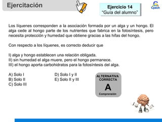 Ejercicio 14
“Guía del alumno”
Ejercicio 14
“Guía del alumno”
Ejercitación
ALTERNATIVA
CORRECTA
A
Comprensión
Los líquenes corresponden a la asociación formada por un alga y un hongo. El
alga cede al hongo parte de los nutrientes que fabrica en la fotosíntesis, pero
necesita protección y humedad que obtiene gracias a las hifas del hongo.
Con respecto a los líquenes, es correcto deducir que
I) alga y hongo establecen una relación obligada.
II) sin humedad el alga muere, pero el hongo permanece.
III) el hongo aporta carbohidratos para la fotosíntesis del alga.
A) Solo I D) Solo I y II
B) Solo II E) Solo II y III
C) Solo III
 