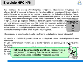 Las hormigas del género Pseudomyrmex establecen interacciones mutualistas con
plantas del género Acacia, en las que las hormigas obtienen recursos nutritivos y sitios de
anidamiento en las espinas de las plantas y, a cambio, las defienden de los herbívoros.
Recientemente, investigadores chilenos seleccionaron diez plantas de la especie Acacia
hindsii y removieron las hormigas de una rama seleccionada al azar, cortando las espinas
y agregando un gel pegajoso en la base de la rama para evitar la recolonización. Después
de seis semanas encontraron que las ramas sin hormigas presentaban un 45% de
infección con microorganismos, siendo estos en su mayoría patógenos, mientras que las
ramas donde las hormigas circulaban libremente solo presentaban un 14% de infección,
siendo los microorganismos en su mayoría no patógenos.
Con respecto al experimento descrito, ¿cuál sería un tratamiento control adecuado?
A) Evaluar el crecimiento poblacional de las hormigas en ramas cuyas espinas han sido
removidas.
B) Seleccionar al azar otra rama de la planta y cortarle las espinas, pero sin remover las
hormigas.
C) Esterilizar otra rama en cada árbol y luego dejar que las hormigas circulen libremente
por ellas.
D) Hacer un análisis de la flora microbiana presente en las patas de las hormigas.
E) Remover las hormigas mutualistas de otra rama e introducir una especie no mutualista.
Ejercicio HPC Nº6
ALTERNATIVA
CORRECTA
B
ASE
Habilidad de pensamiento científico:Procesamiento e
interpretación de datos y formulación de explicaciones,
apoyándose en los conceptos y modelos teóricos.
 