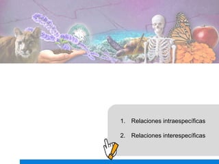 1. Relaciones intraespecíficas
2. Relaciones interespecíficas
 