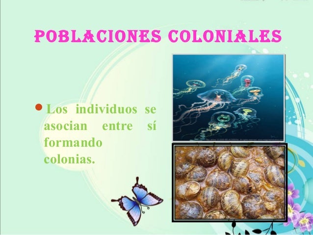 Relaciones intraespecificas e interespecificas.