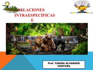 RELACIONES
INTRAESPECÍFICAS
E
INTRAESPECÍFICAS
Prof. YANINA ALVARADO
VENTURA
 