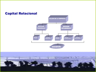 Capital Relacional
 