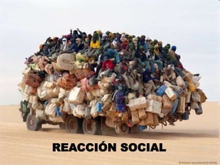 REACCIÓN SOCIAL
 