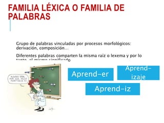 FAMILIA LÉXICA O FAMILIA DE
PALABRAS
Grupo de palabras vinculadas por procesos morfológicos:
derivación, composición…
Diferentes palabras comparten la misma raíz o lexema y por lo
tanto, el mismo significado
Aprend-er
Aprend-
izaje
Aprend-iz
 
