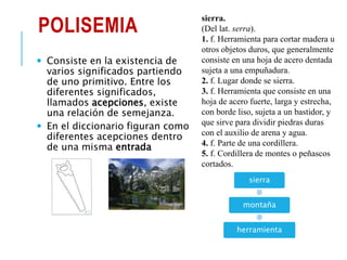POLISEMIA
 Consiste en la existencia de
varios significados partiendo
de uno primitivo. Entre los
diferentes significados,
llamados acepciones, existe
una relación de semejanza.
 En el diccionario figuran como
diferentes acepciones dentro
de una misma entrada
sierra
montaña
herramienta
sierra.
(Del lat. serra).
1. f. Herramienta para cortar madera u
otros objetos duros, que generalmente
consiste en una hoja de acero dentada
sujeta a una empuñadura.
2. f. Lugar donde se sierra.
3. f. Herramienta que consiste en una
hoja de acero fuerte, larga y estrecha,
con borde liso, sujeta a un bastidor, y
que sirve para dividir piedras duras
con el auxilio de arena y agua.
4. f. Parte de una cordillera.
5. f. Cordillera de montes o peñascos
cortados.
 