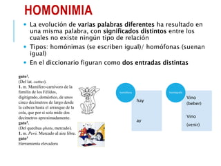 HOMONIMIA
 La evolución de varias palabras diferentes ha resultado en
una misma palabra, con significados distintos entre los
cuales no existe ningún tipo de relación
 Tipos: homónimas (se escriben igual)/ homófonas (suenan
igual)
 En el diccionario figuran como dos entradas distintas
hay
ay
homófona
Vino
(beber)
Vino
(venir)
homógrafa
gato1.
(Del lat. cattus).
1. m. Mamífero carnívoro de la
familia de los Félidos,
digitígrado, doméstico, de unos
cinco decímetros de largo desde
la cabeza hasta el arranque de la
cola, que por sí sola mide dos
decímetros aproximadamente.
gato2.
(Del quechua qhatu, mercado).
1. m. Perú. Mercado al aire libre.
gato3
Herramienta elevadora
 