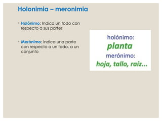 Holonimia – meronimia
◦ Holónimo: Indica un todo con
respecto a sus partes
◦ Merónimo: indica una parte
con respecto a un todo, a un
conjunto
 