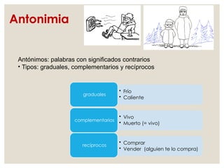 Antonimia
• Frío
• Caliente
graduales
• Vivo
• Muerto (= vivo)
complementarios
• Comprar
• Vender (alguien te lo compra)
recíprocos
Antónimos: palabras con significados contrarios
• Tipos: graduales, complementarios y recíprocos
 