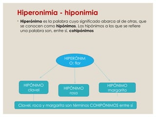 Hiperonimia - hiponimia
◦ Hiperónimo es la palabra cuyo significado abarca al de otras, que
se conocen como hipónimos. Los hipónimos a los que se refiere
una palabra son, entre sí, cohipónimos
HIPERÓNIM
O: flor
HIPÓNIMO
clavel HIPÓNIMO
rosa
HIPÓNIMO
margarita
Clavel, roca y margarita son términos COHIPÓNIMOS entre sí
 