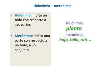 Holonimia – meronimia
• Holónimo: Indica un
todo con respecto a
sus partes
• Merónimo: indica una
parte con respecto a
un todo, a un
conjunto
 