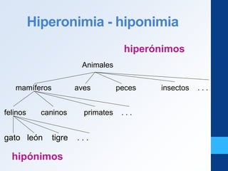 Hiperonimia - hiponimia
Animales
mamíferos aves peces insectos . . .
felinos caninos primates . . .
gato león tigre . . .
hipónimos
hiperónimos
 