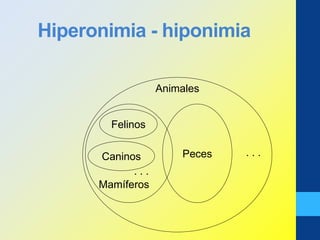 Hiperonimia - hiponimia
Animales
Peces . . .
Mamíferos
Felinos
Caninos
. . .
 