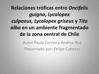 Relaciones tróficas entre Oncifelisguigna, Lycalopexculpaeus, Lycalopexgriseusy Tito alba en un ambiente fragmentado de la zona central de Chile Autor Paola Correa y Andrea Roa Presentado por: Felipe Cabezas 