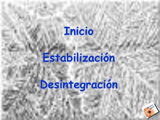 Relaciones Y Conflicto