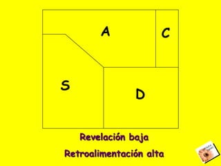 Relaciones Y Conflicto