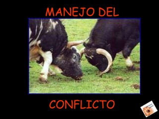 Relaciones Y Conflicto