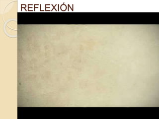 REFLEXIÓN 
 