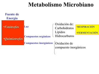 •FotótrofosFotótrofos
•QuimiotrofosQuimiotrofos
Fuente de
Energía
Luz
Compuestos orgánicos
Compuestos inorgánicos
Metabolismo Microbiano
Oxidación de:
Carbohidratos
Lípidos
Hidrocarburos
Oxidación de
compuesto inorgánicos
•RESPIRACIÓN
•FERMENTACIÓN
 