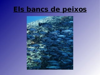 Relacions intraespecífiques