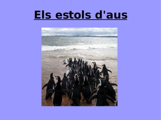 Relacions intraespecífiques