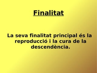 Relacions intraespecífiques