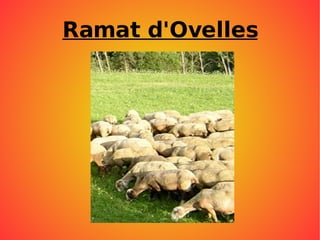 Relacions intraespecífiques