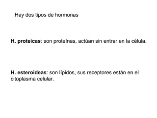 Hay dos tipos de hormonas H. proteicas : son proteínas, actúan sin entrar en la célula. H. esteroideas : son lípidos, sus receptores están en el citoplasma celular. 