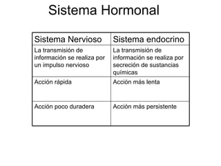 Sistema Hormonal Acción más persistente Acción poco duradera Acción más lenta Acción rápida La transmisión de información se realiza por secreción de sustancias químicas La transmisión de información se realiza por un impulso nervioso Sistema endocrino Sistema Nervioso 