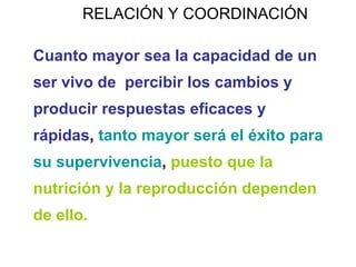 Cuanto mayor sea la capacidad de un ser vivo de  percibir los cambios y  producir respuestas eficaces y  rápidas ,  tanto mayor será el éxito para su supervivencia ,  puesto que la nutrición y la reproducción dependen de ello.  RELACIÓN Y COORDINACIÓN 