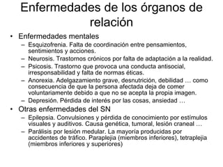Enfermedades mentales Esquizofrenia. Falta de coordinación entre pensamientos, sentimientos y acciones. Neurosis. Trastornos crónicos por falta de adaptación a la realidad. Psicosis. Trastorno que provoca una conducta antisocial, irresponsabilidad y falta de normas éticas. Anorexia. Adelgazamiento grave, desnutrición, debilidad … como consecuencia de que la persona afectada deja de comer voluntariamente debido a que no se acepta la propia imagen.  Depresión. Pérdida de interés por las cosas, ansiedad … Otras enfermedades del SN Epilepsia. Convulsiones y pérdida de conocimiento por estímulos visuales y auditivos. Causa genética, tumoral, lesión craneal … Parálisis por lesión medular. La mayoría producidas por accidentes de tráfico. Paraplejia (miembros inferiores), tetraplejia (miembros inferiores y superiores) Enfermedades de los órganos de relación 
