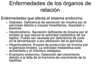 Enfermedades que afecta al sistema endocrino Diabetes. Deficiencia de secreción de insulina por el páncreas debida a causas hereditarias, obesidad o lesiones. Hipotiroidismo. Secreción deficiente de tiroxina por el tiroides lo que reduce la actividad metabólica de los tejidos. Puede ser causada por deficiencia de yodo en la alimentación o por alteración del la glándula.  Hipertiroidismo. Exceso de producción de tiroxina por la glándula tiroides. La actividad metabólica está aumentada y el individuo adelgaza. Enanismo endocrino. Detención del crecimiento debido a la falta de la hormona de crecimiento de la hipófisis. Enfermedades de los órganos de relación 
