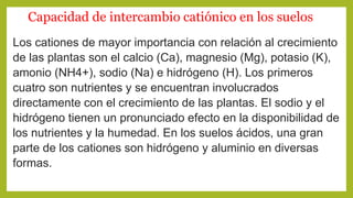 Capacidad de intercambio catiónico en los suelos
Los cationes de mayor importancia con relación al crecimiento
de las plantas son el calcio (Ca), magnesio (Mg), potasio (K),
amonio (NH4+), sodio (Na) e hidrógeno (H). Los primeros
cuatro son nutrientes y se encuentran involucrados
directamente con el crecimiento de las plantas. El sodio y el
hidrógeno tienen un pronunciado efecto en la disponibilidad de
los nutrientes y la humedad. En los suelos ácidos, una gran
parte de los cationes son hidrógeno y aluminio en diversas
formas.
 