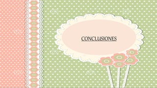CONCLUSIONES
 