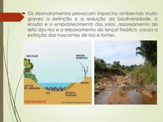 AMENSALISMO
 algas protistas (pirrófitas) de cor avermelhada
e produtoras de substâncias altamente tóxicas
apresentam intensa proliferação, formando
enormes manchas vermelhas no oceano. Com
isso, a concentração dessas substâncias tóxicas
aumenta, provocando “maré vermelha”.
"Maré vermelha" composta por
Noctiluca sp. (foto: Peter
Franks;
www.redtide.whoi.edu/hab/rtph
otos/rtphotos.html). Em
03/03/04
 