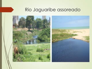 ESCLAVAGISMO (+/-)
Uma espécie aproveita-se dos trabalhos de
outra, escravizando-a; relação não
obrigatória.
 